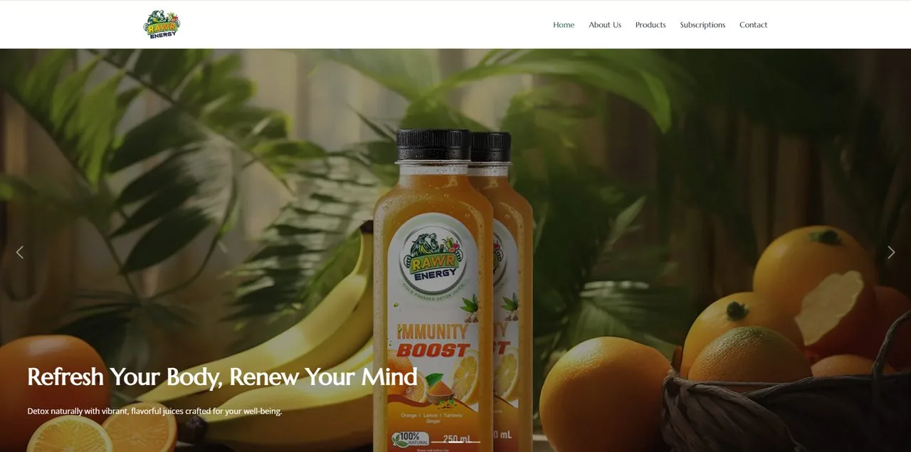 Rawr Energy website